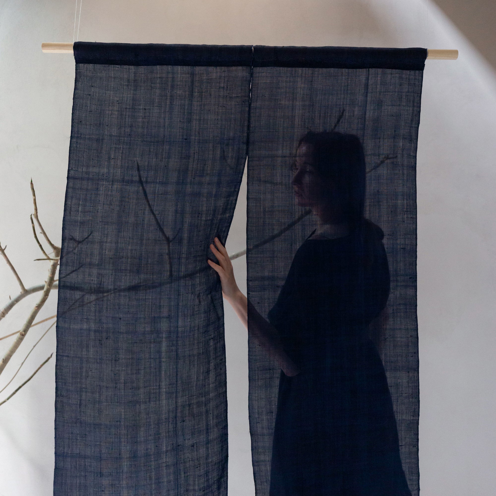 Indigo Noren