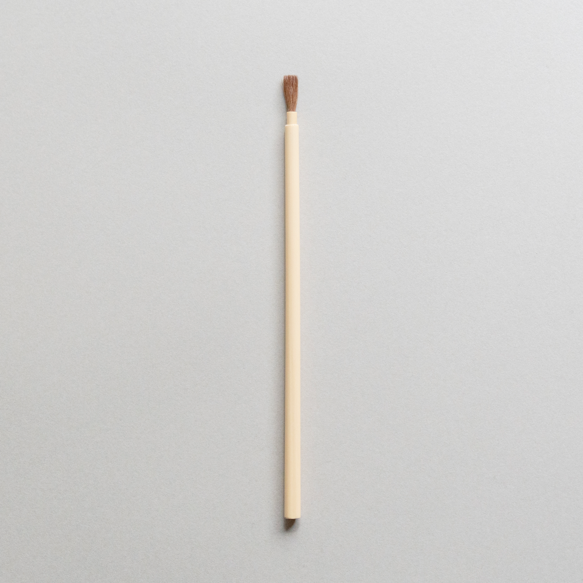 Powder Brush