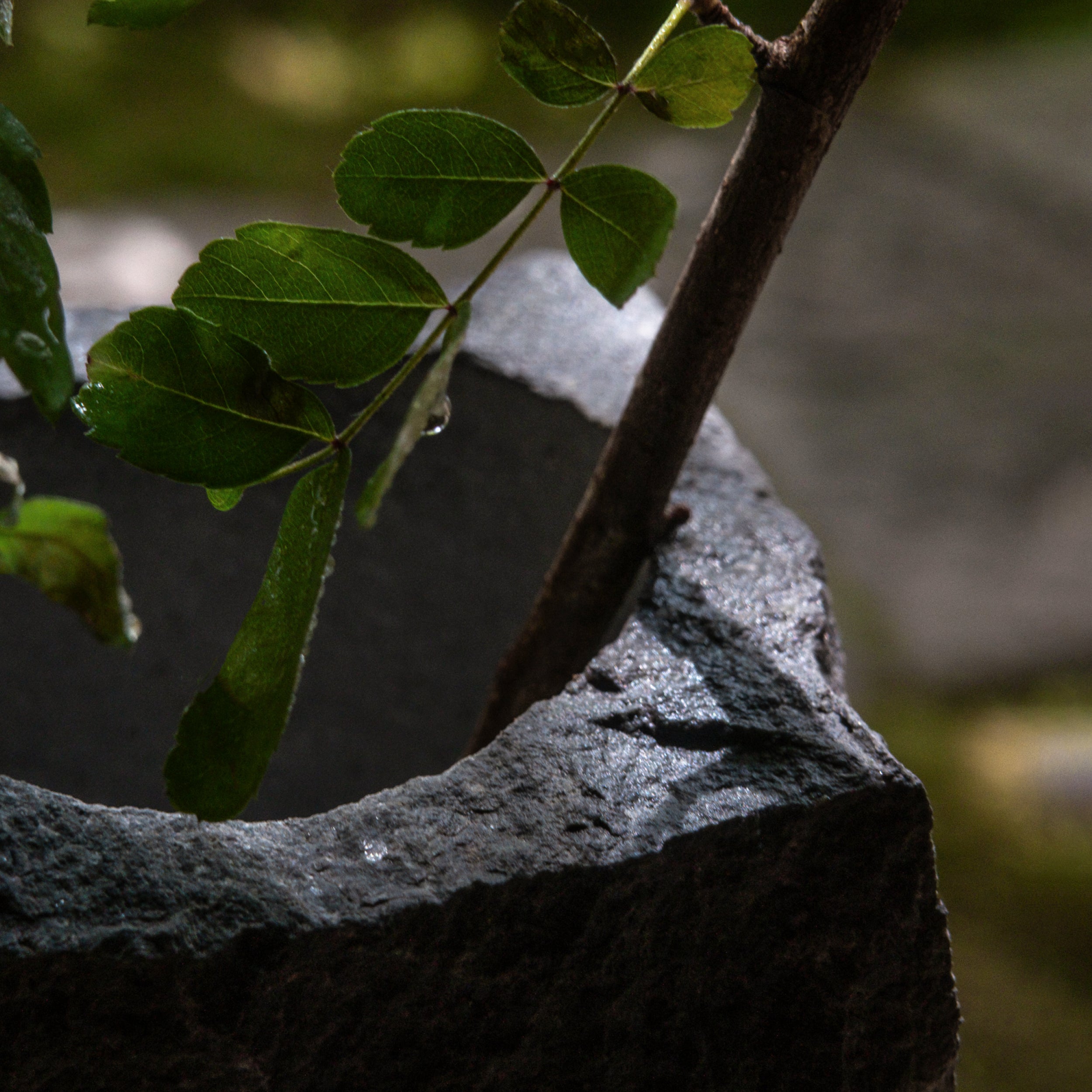 Stone Vase L