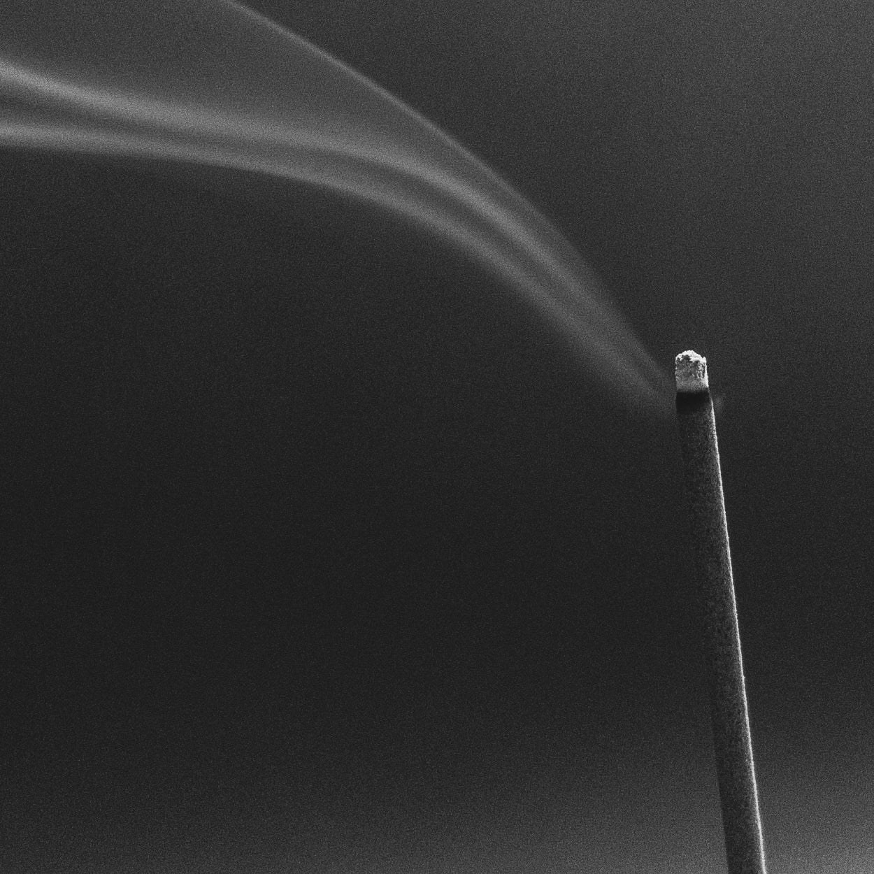 Sen Incense - Hinoki